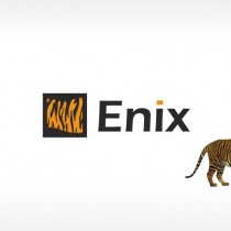 Enix – praca konkursowa