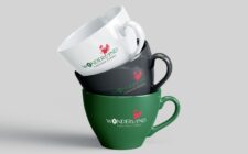 Wonderland Language Centre